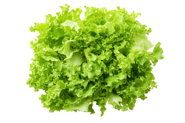 Vibrant green lettuce leaves isolated on a transparent background
