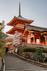 Naklejka premium Kiyomizudera Temple at dawn in Kyoto, Japan