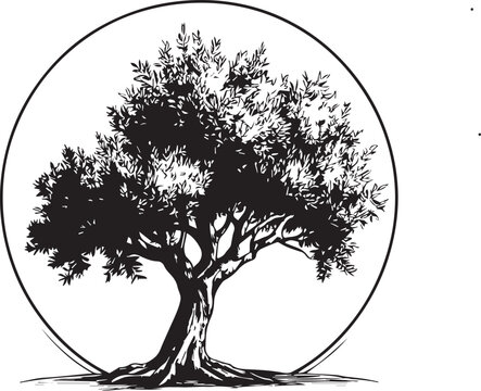vector argan tree silhouette