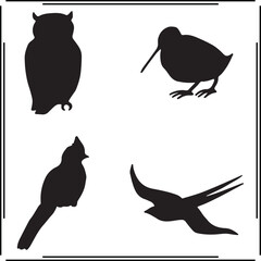 Bird Silhouettes Set - Owl, Sparrow, Kiwi, and Flying Bird Icons for Nature, Wildlife, Avian, and Birdwatching Design