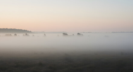 低空に広がる白い霧のベール