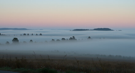 幻想的な霧に包まれた自然の風景