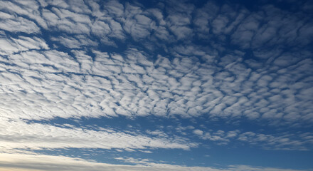 繊細な雲が描く空のパターン