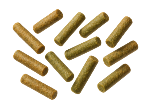 Floating koi sticks for garden ponds, ensuring clean water and essential nutrients for