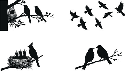 Bird Silhouettes in Nature Depicting Nesting, Feeding, Flying, and Pair Bonding – Wildlife Behavior and Family Life in Vector Art