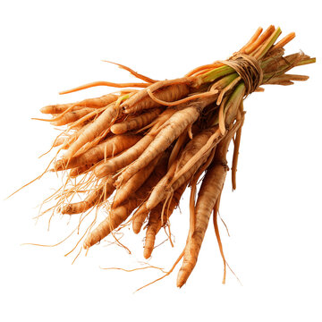 fingerroot cluster on transparent png background