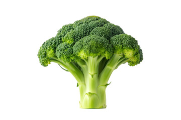 Fresh broccoli head isolated on white background
