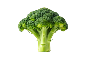 Fresh broccoli head isolated on white background