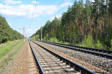 Railway Tracks Winding Through a Dense Forest Under a Blue Sky