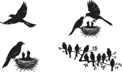 Bird Silhouettes in Flight, Nesting, Feeding, and Perching – Wildlife Family Behavior and Nature-Themed Vector Art for Educational Use