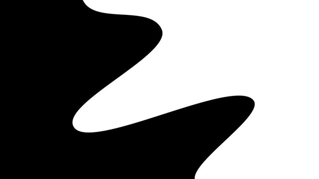 white light 4k smooth wave split fluid transition transparent background