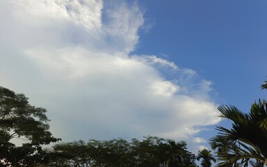 Fototapeta premium The white clouds are floating in the beautiful clear blue sky