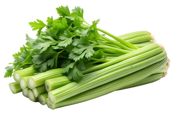 Fresh celery stalks with green leaves isolated on white background