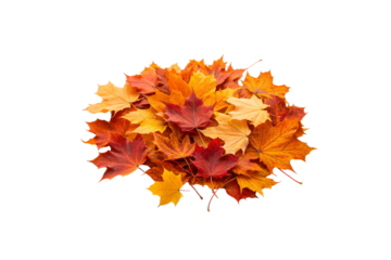 Pile of vibrant autumn maple leaves in red, orange, and yellow hues, isolated on a transparent background