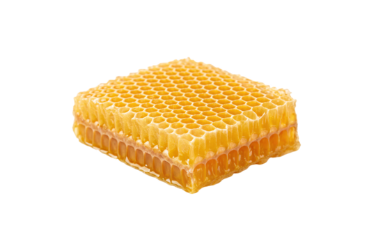 Golden honeycomb section showing hexagonal wax cells filled with natural honey from beehive, isolated on a transparent background