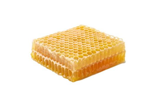 Section of fresh honeycomb displaying detailed hexagonal pattern with golden honey and wax, isolated on a transparent background