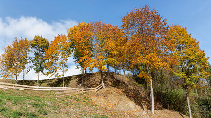Colorful autumn landscape in the city park