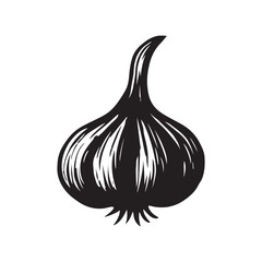 Hand drawn single garlic bulb with vintage style silhouette