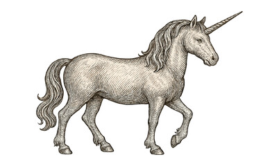 Fototapeta premium Detailed engraving of a unicorn in classical style showcasing mythical elegance