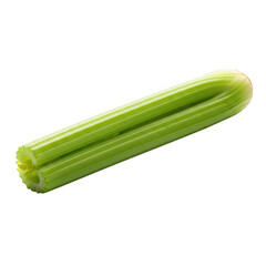 Fresh green celery stalk isolated on transparent background