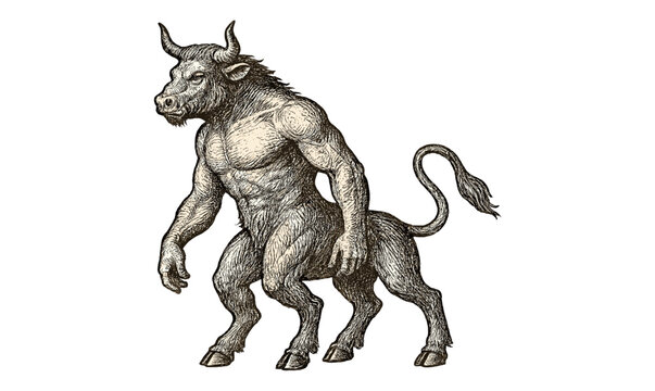 Detailed mythical minotaur in vintage etching style walking forward