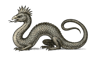 Fototapeta premium Intricate medieval dragon with textured scales on white background