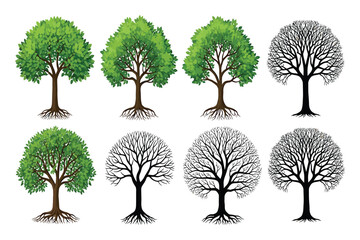 Four green leaf trees and four bare branch trees with visible roots on white background green tree