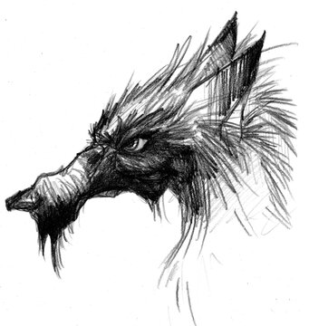 Portrait de loup style bande dessin&eacute;e avec long museau et pelage &eacute;bouriff&eacute;