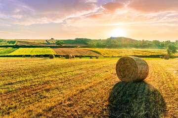 golden summer landscape of yellow panoramic wheat field with stacks and agricultural rows in a rural sunset meadiw with beautiful evening cloudy sky on background