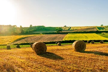 beautiful rustic landscape of scenic evening sunset in agricultural field with yellow hay stacks, golden grass, green trees and amazing cloudy sky on background
