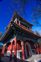 The red-walled Yonghe Temple (Lama Temple) in Beijing stands gracefully under a clear blue winter sky, with its ornate golden roof and a leafless ancient tree adding timeless beauty and serene charm.