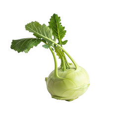 Fresh kohlrabi vegetable isolated on transparent background