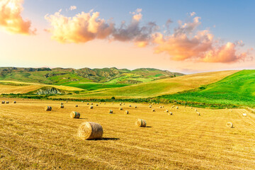 beautiful agricultural landscape of a golden shiny fielf of summer farmland with amazing hay stacks and scenic green hills and mountains on background