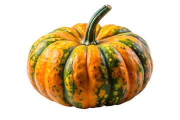 Close-up shot of a vibrant ornamental pumpkin with unique green and orange stripes, showcasing its organic form and textural details against a white background