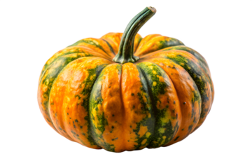 Close-up shot of a vibrant ornamental pumpkin with unique green and orange stripes, showcasing its organic form and textural details against a white background