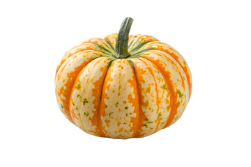 Ornamental gourd isolated on white background
