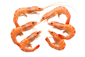 Cooked shrimp arranged in a circle isolated on white background