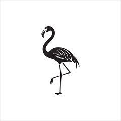 flamingo on white background