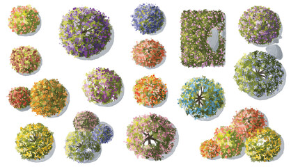 Vector watercolor of blooming tree top view isolated on white background for landscape plan and architecture drawing, elements for environment and garden,botanical elements ,blooming flower in spring © Chanya_B