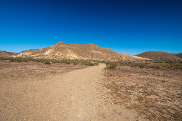 Wanderweg in der Tabernas Wüste, Provinz Almería, Andalusien, Spanien