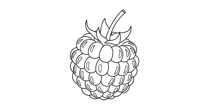 A simple black and white line drawing of a single ripe raspberry.