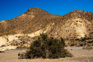 Berge in der Tabernas Wüste, Provinz Almería, Andalusien, Spanien