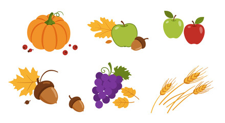 Autumn harvest collection with pumpkin, apples, grapes, acorns, and wheat in…