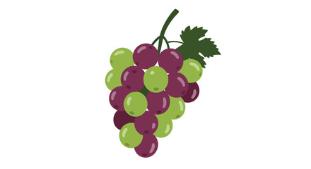 Colorful grapes bunch with green leaves flat style