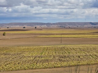 Landschaft in der Meseta am Jacobsweg, Spanien