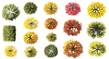 Vertor set of autumn tree,plants top view for landscape plan,schematic layout,eco environment concept design,watercolor ginkgo tree illustration,colorfulseason