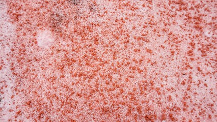 mixing white and red fertilizer for agriculture