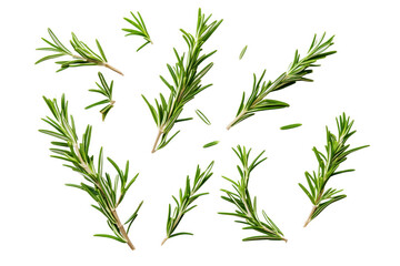 Obraz premium Green herb sprigs scattered isolated on a transparent background