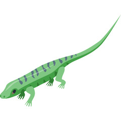 Green lizard with blue stripes and long tail in isometric perspective on transparent background