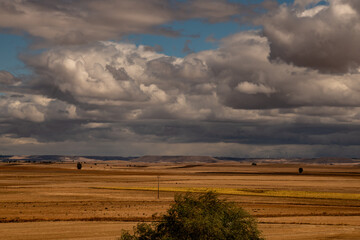 Landschaft in der Meseta am Jacobsweg in Nordspanien